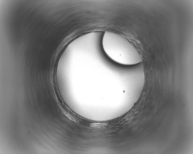 X0000069410051200605121059