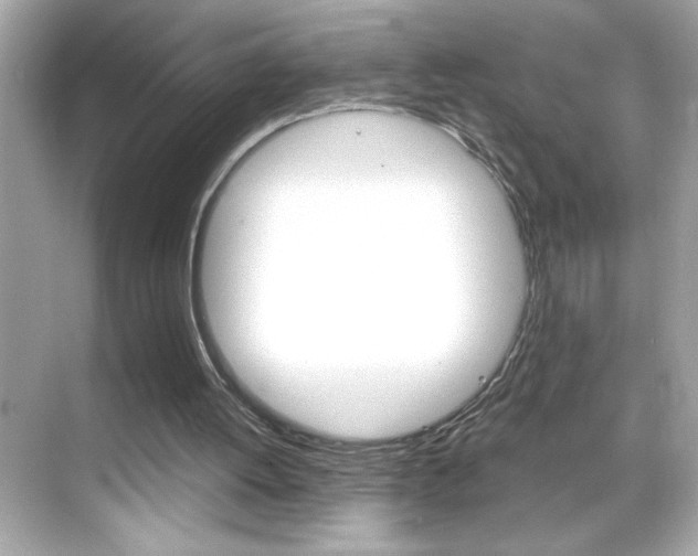 X0000069410052200605121059