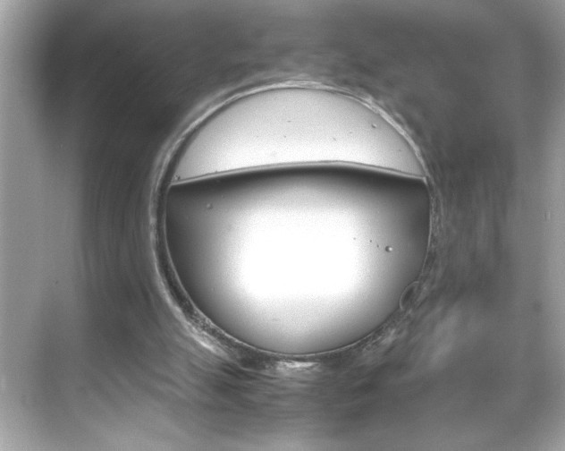 X0000069410055200605121059