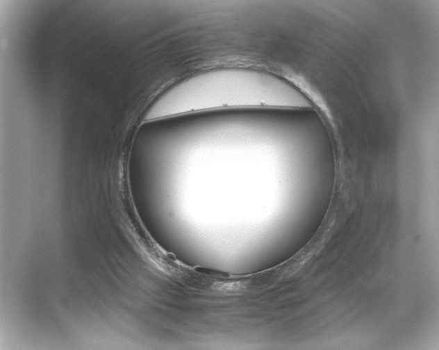 X0000069410057200605121059
