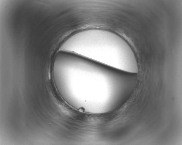 X0000069410062200605121059