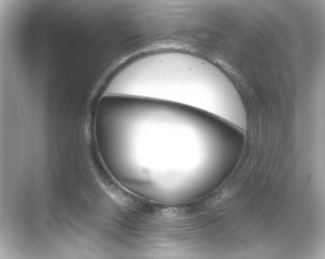 X0000069410064200605121059