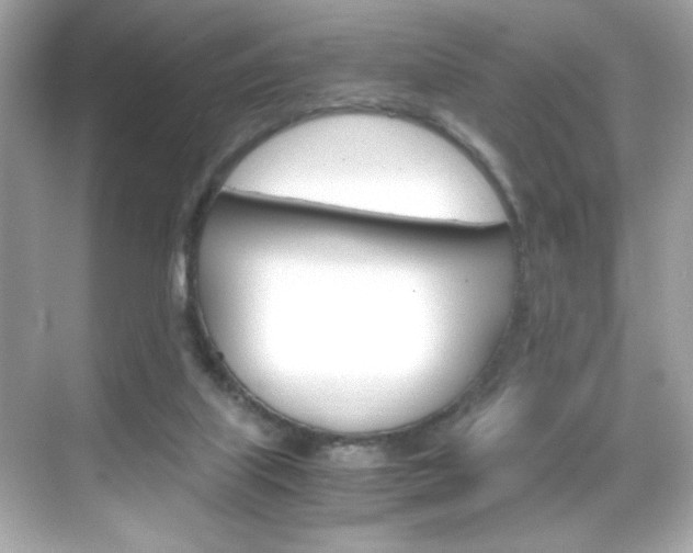 X0000069410067200605121059