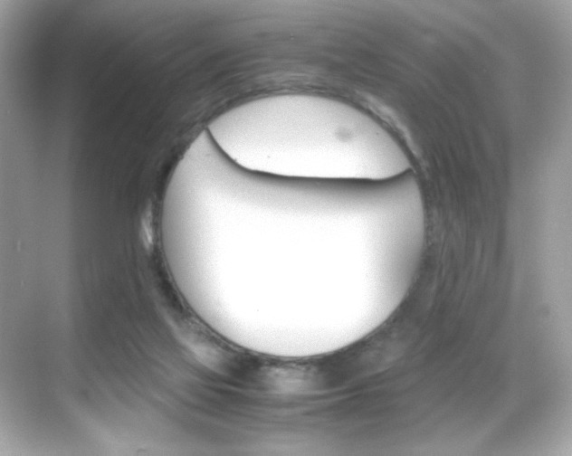 X0000069410069200605121100