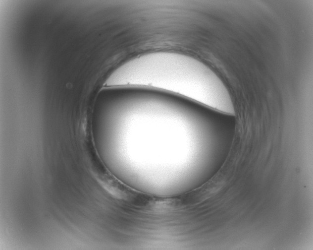 X0000069410072200605121100
