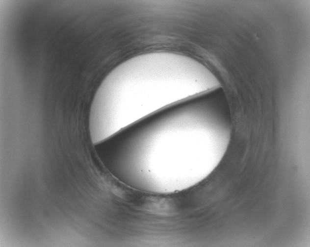 X0000069410073200605121100