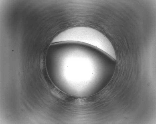 X0000069410080200605121100
