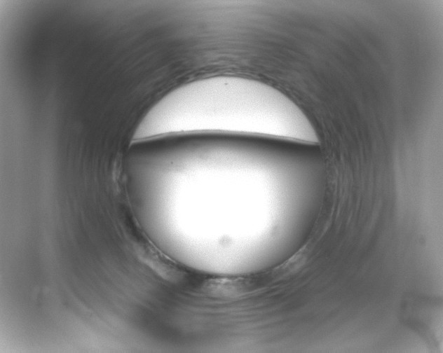 X0000069410082200605121100