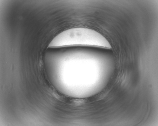 X0000069410085200605121100