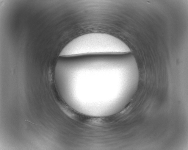 X0000069410086200605121100