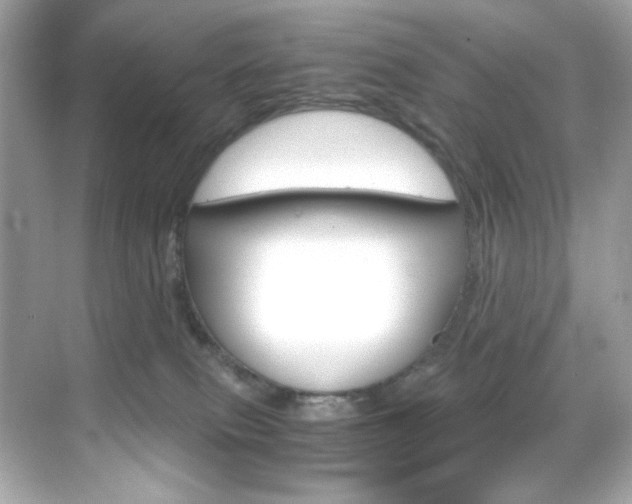 X0000069410087200605121100