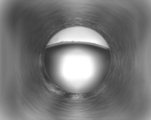 X0000069410088200605121100