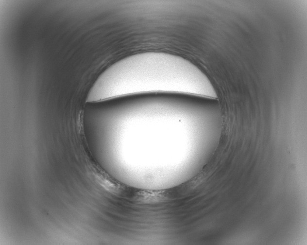 X0000069410093200605121100