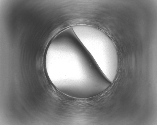 X0000069410099200605121059