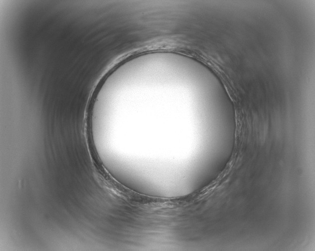 X0000069410100200605121059
