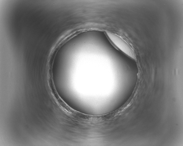 X0000069410101200605121059