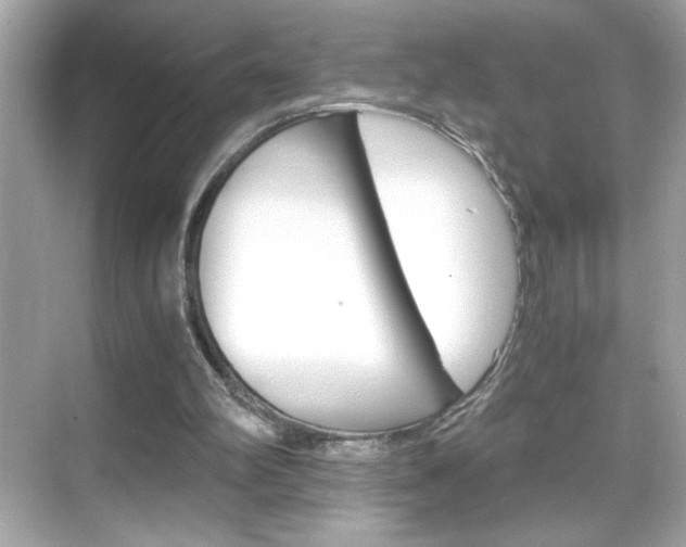 X0000069410102200605121059