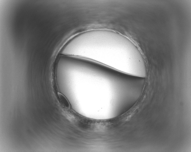 X0000069410103200605121059
