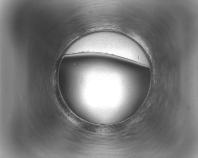X0000069410105200605121059