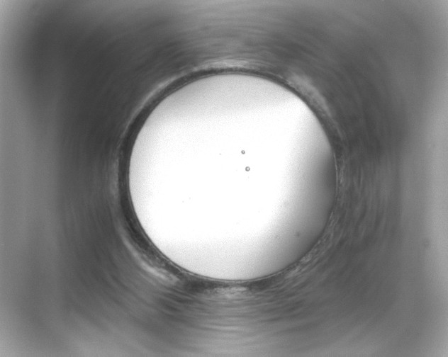 X0000069410108200605121059