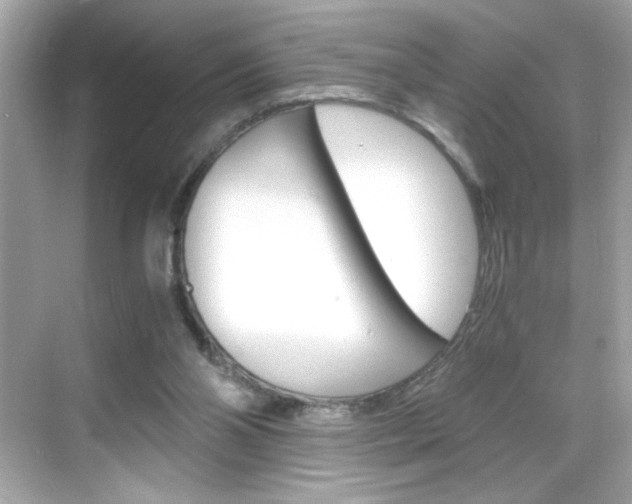 X0000069410110200605121059