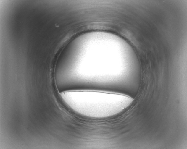 X0000069410111200605121059