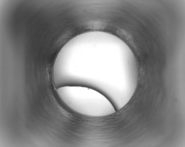 X0000069410114200605121059