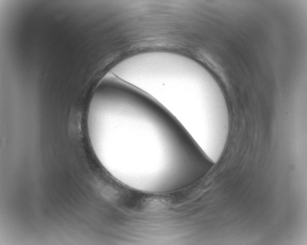 X0000069410115200605121059