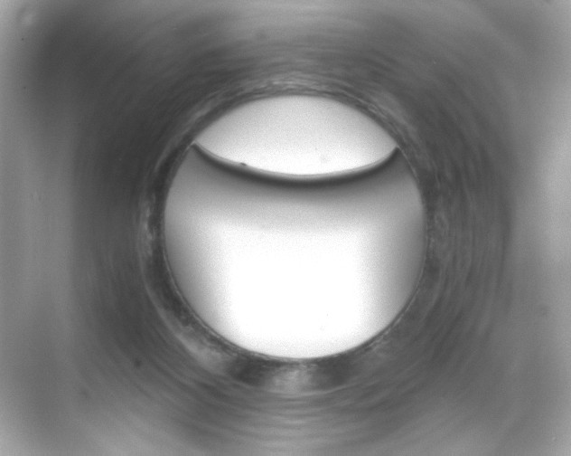 X0000069410116200605121059