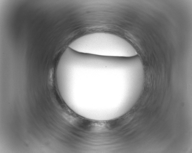 X0000069410118200605121059