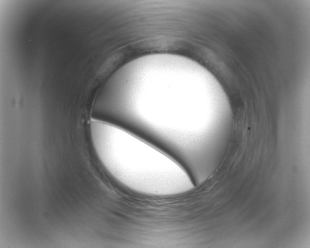 X0000069410119200605121059