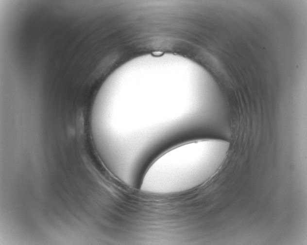 X0000069410120200605121059