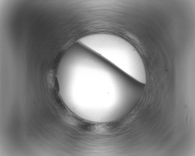 X0000069410121200605121059