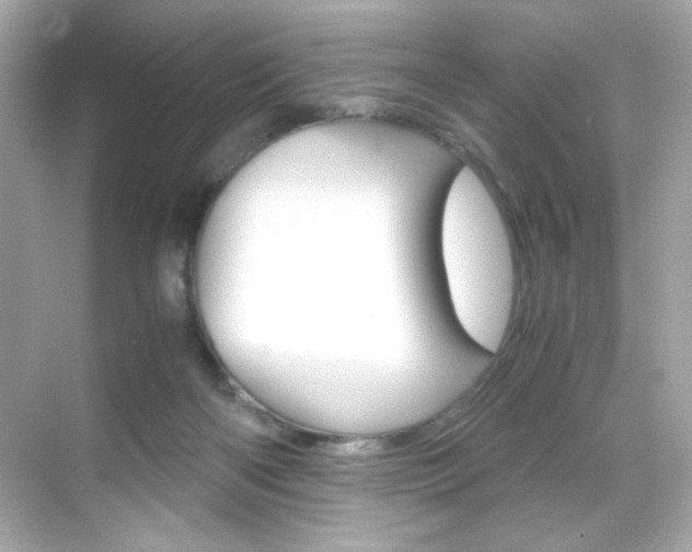 X0000069410122200605121059