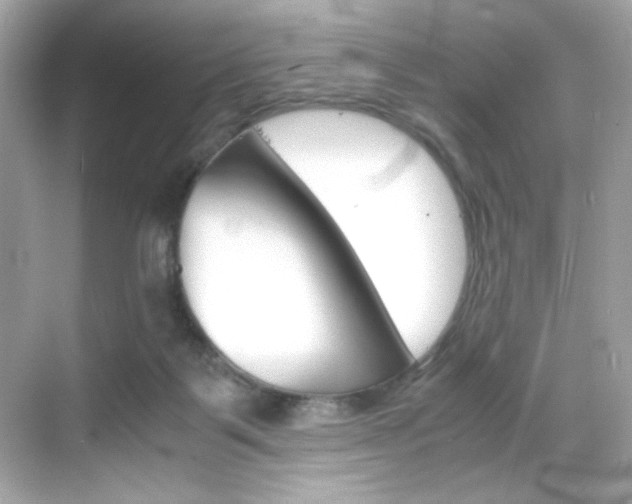 X0000069410123200605121059
