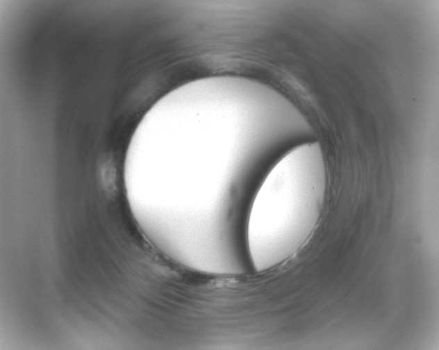 X0000069410124200605121059
