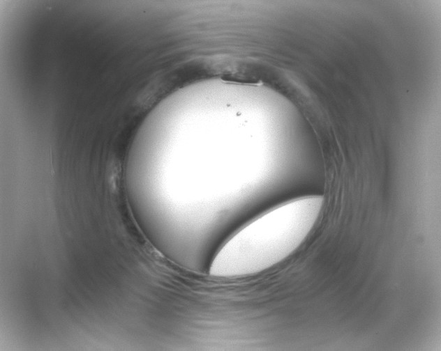 X0000069410125200605121059