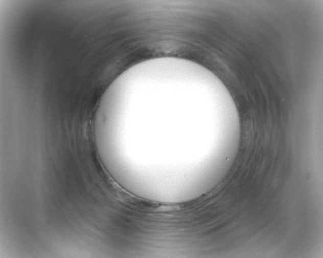 X0000069410126200605121059