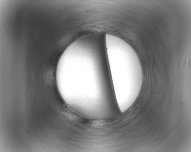 X0000069410127200605121059