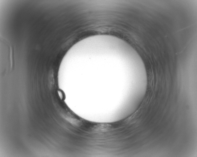 X0000069410128200605121059