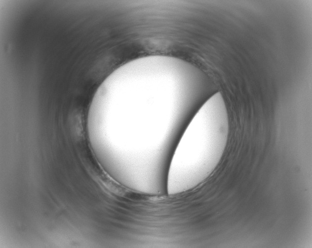X0000069410130200605121059