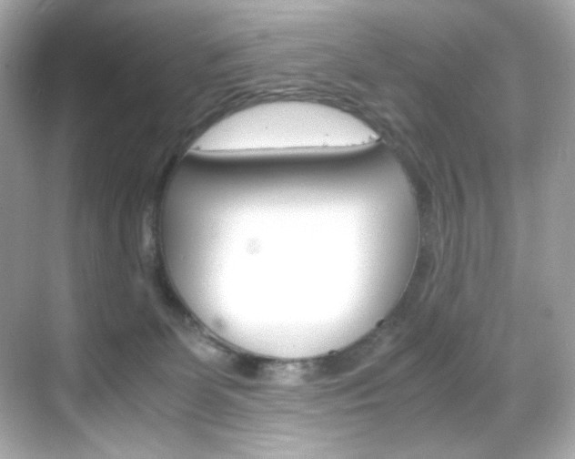 X0000069410131200605121059