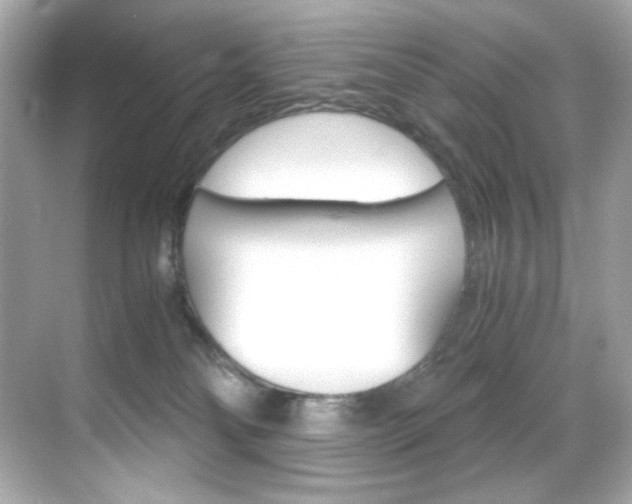 X0000069410134200605121059