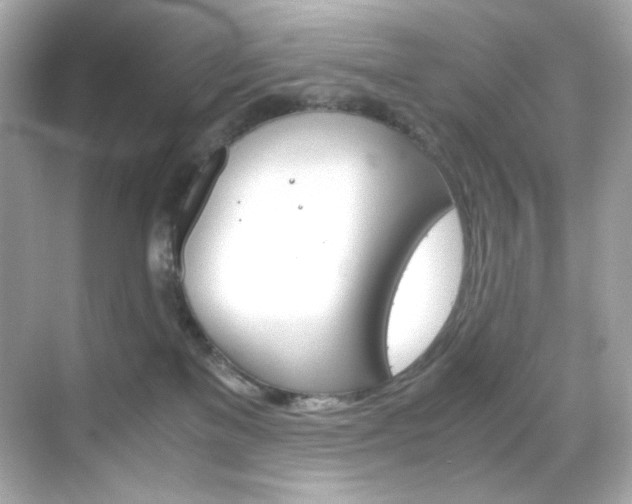X0000069410137200605121058