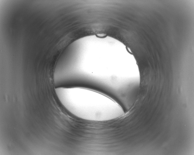 X0000069410140200605121058