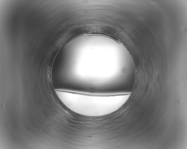 X0000069410141200605121058
