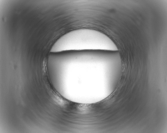 X0000069410142200605121058