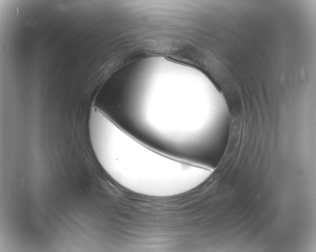 X0000069410143200605121058