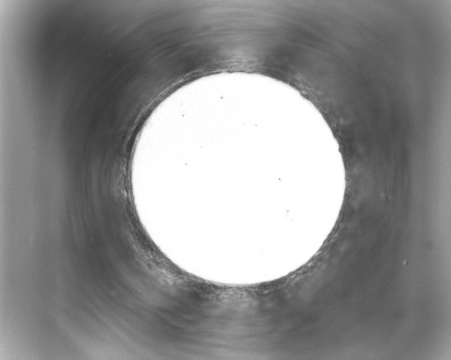 X0000069410146200605121058