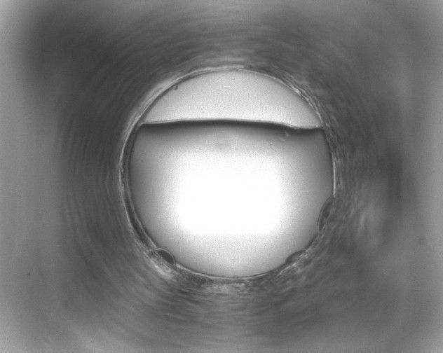 X0000069410147200605121058